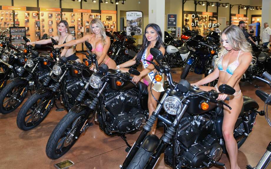 harley davidson girls