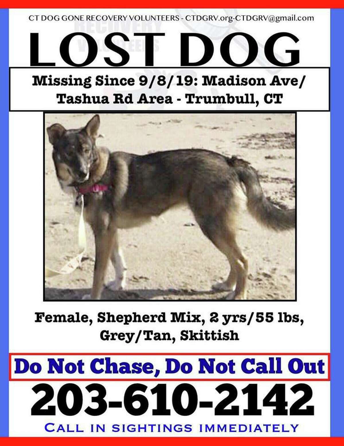 A 55-pound husky mix has been reported missing from the Tashua Knolls area.