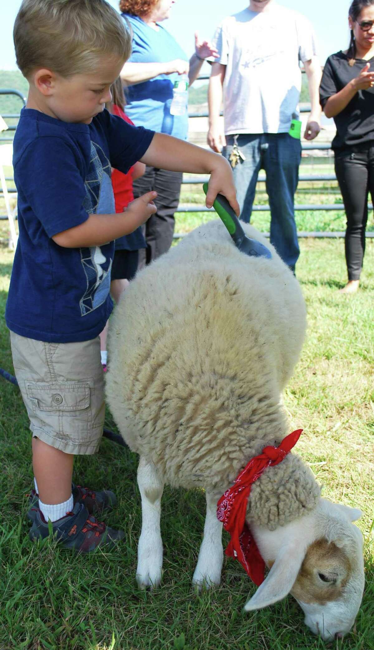 Sunny Valley Preserve in New Milford will hold Open Farm Day Sept. 21 this year.
