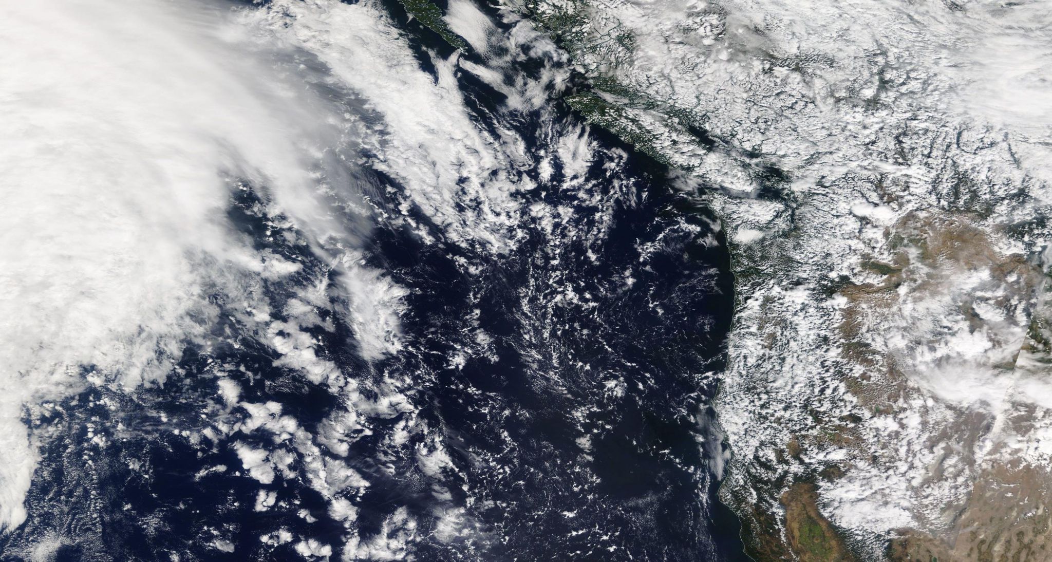 Approaching storm system brings chance of Seattle rain for most of the week