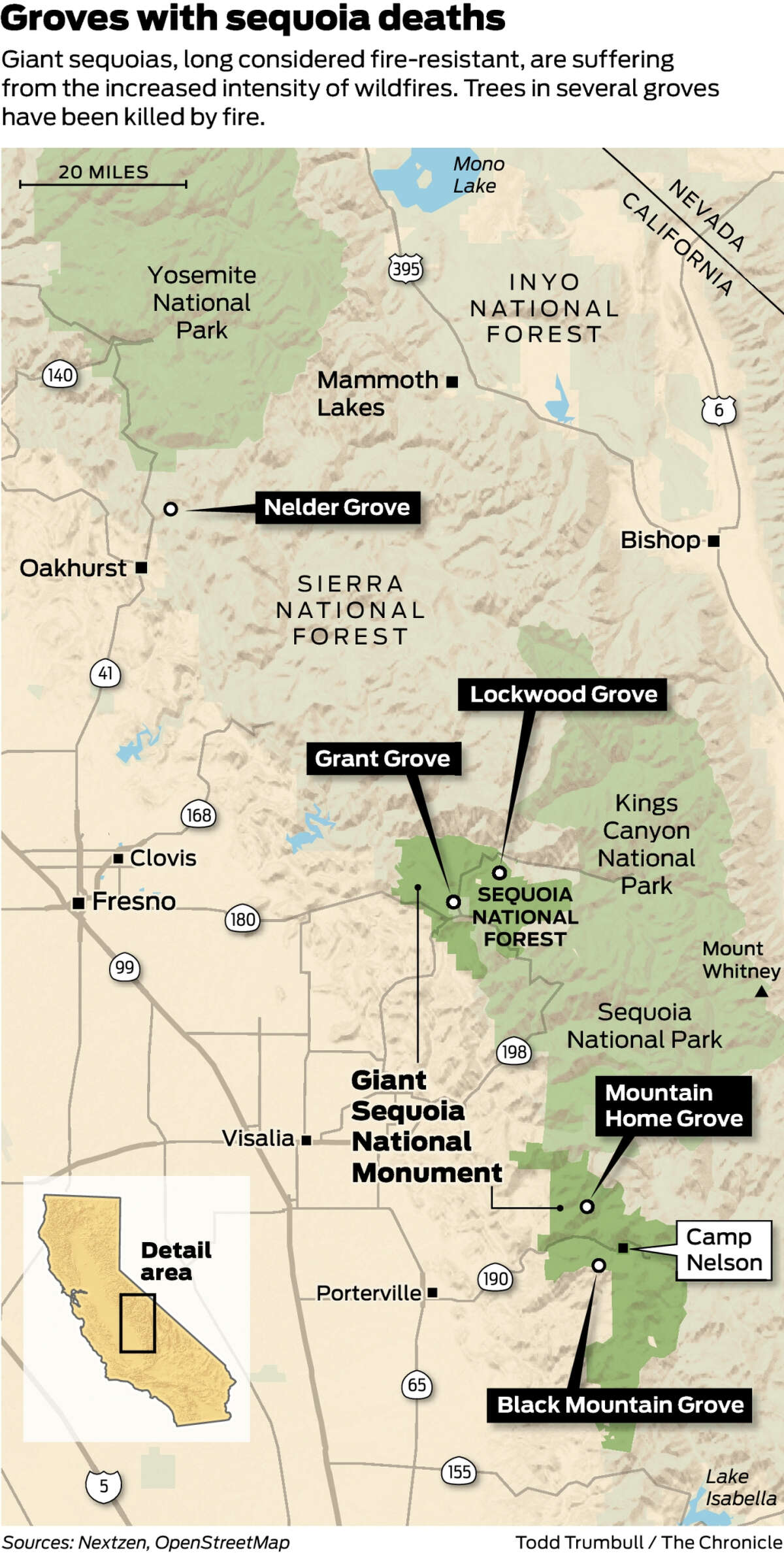 Giant sequoias — long survivors of the forest — succumbing to climate ...