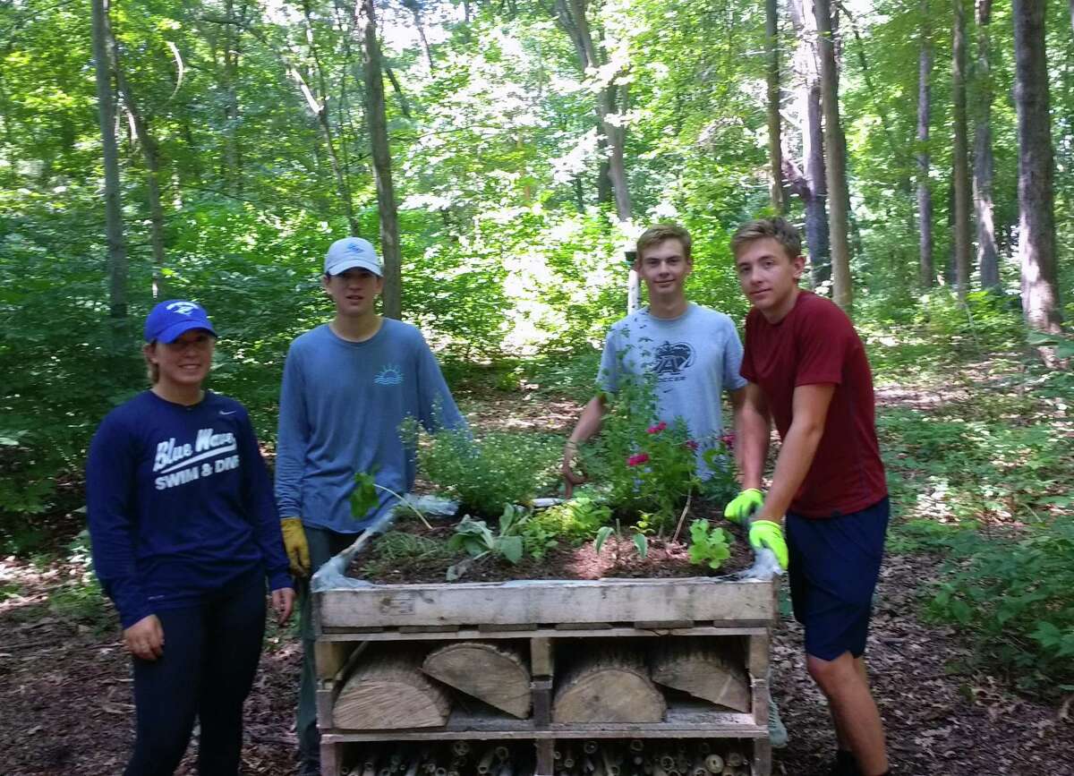 Brielle Racanelli, left, Maximus Racanelli, Jack Holly and Ian Holly help to build the insect hotel.