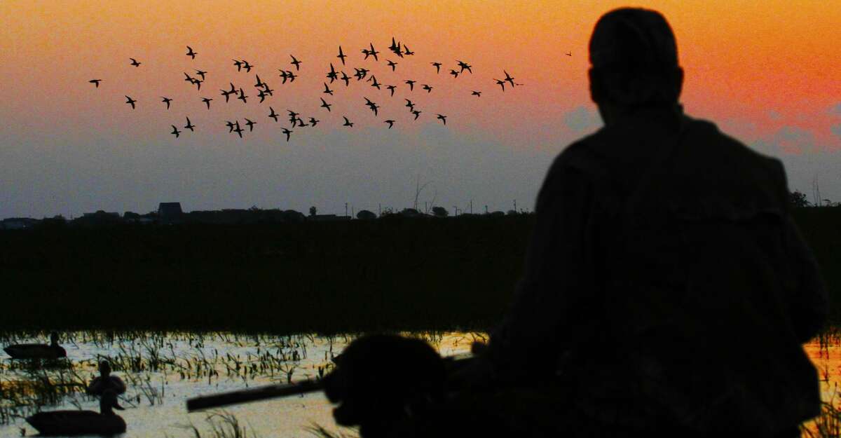 Teal season arrives for Texas hunters, and it’ll be a scorcher