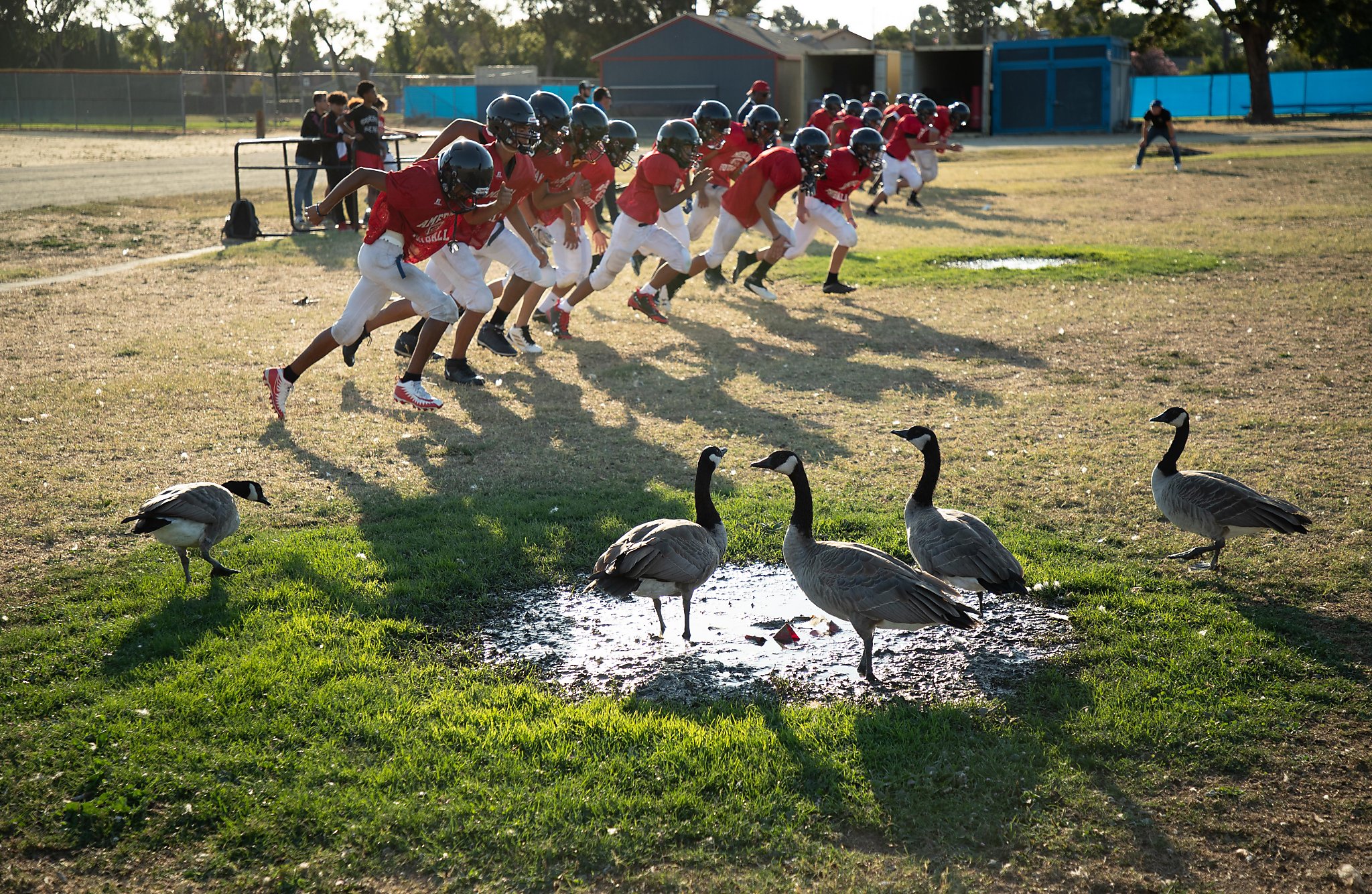 Decline in High School Football Impacting SoCal Schools