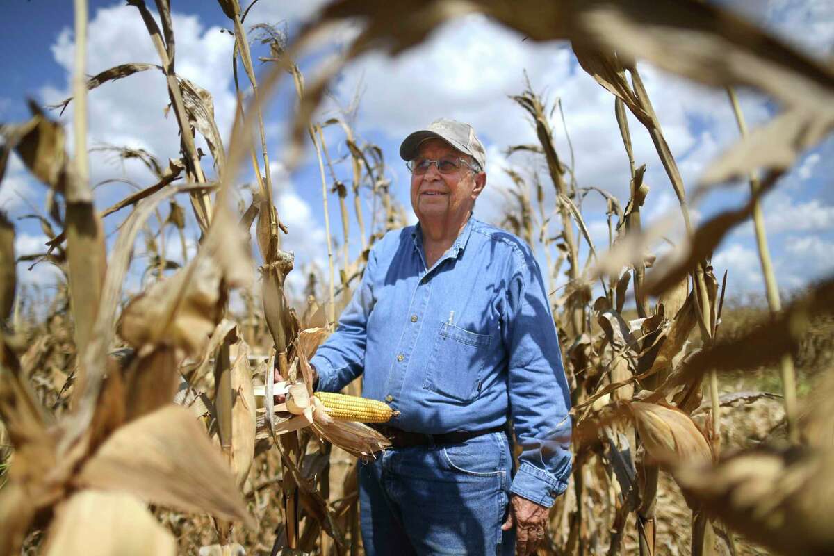 Ray Joy Pfannstiel can’t harvest his corn because he can’t store it. Storage is filled by crops that weren’t exported.