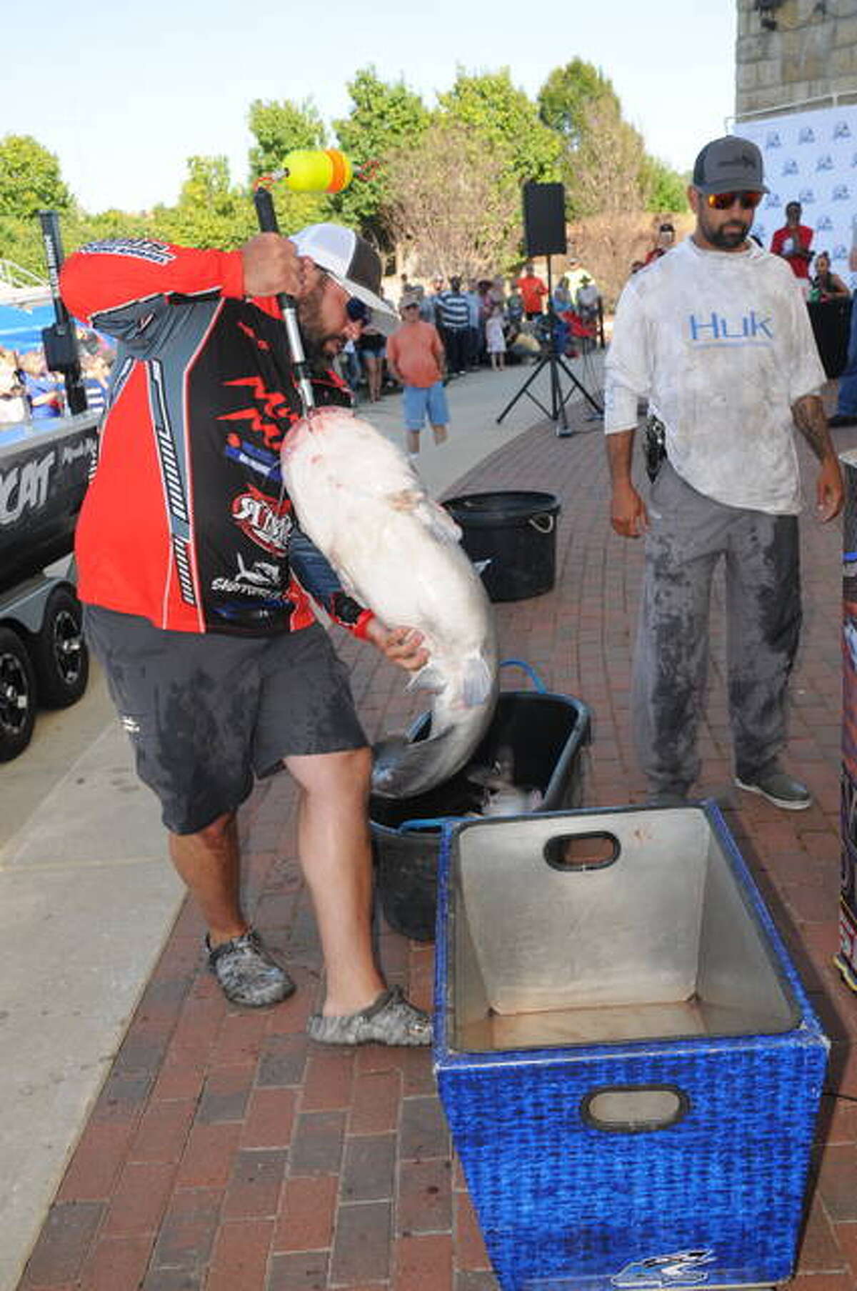 Alton Catfish Classic anglers hook huge fish Saturday