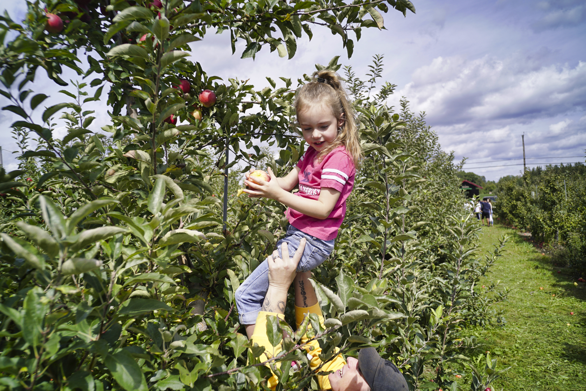 Apple season brings out crowds on Sunday
