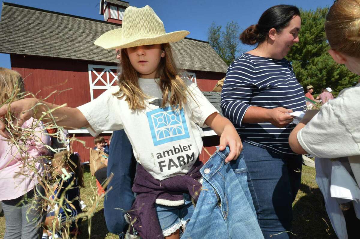 Wilton’s Grace Horton builds a scarecrow during Ambler Farm Day in 2017. This year’s event is Sunday, Sept. 22, from noon to 4. There will be games, food, apple slingshot, farm animals, scarecrows, hay rides, trebuchet punkin chucker, children’s crafts, pumpkin patch, live music, homemade apple pies and baked goods, pumpkin painting and more.