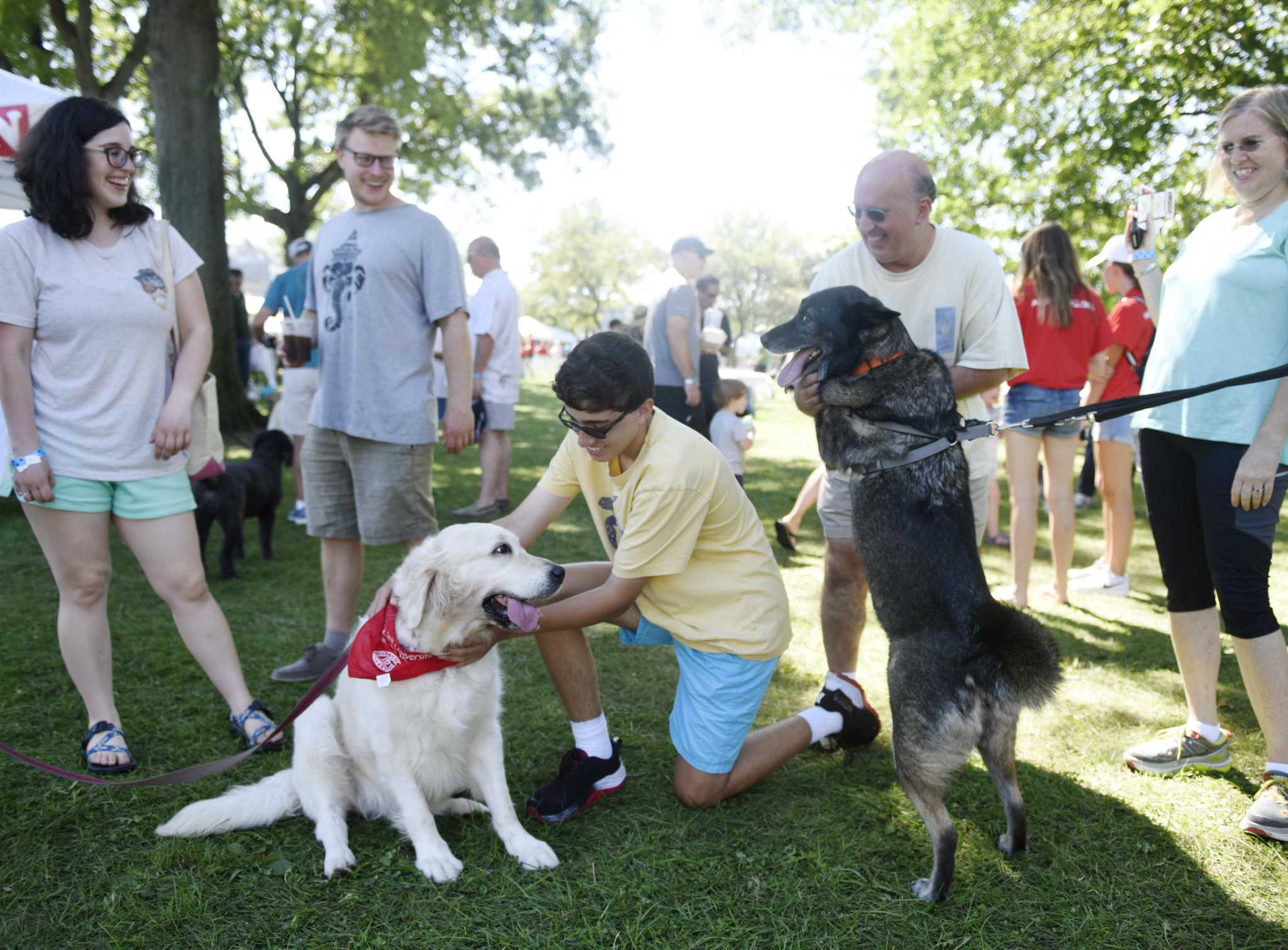 Puttin’ On The Dog festival back in Greenwich