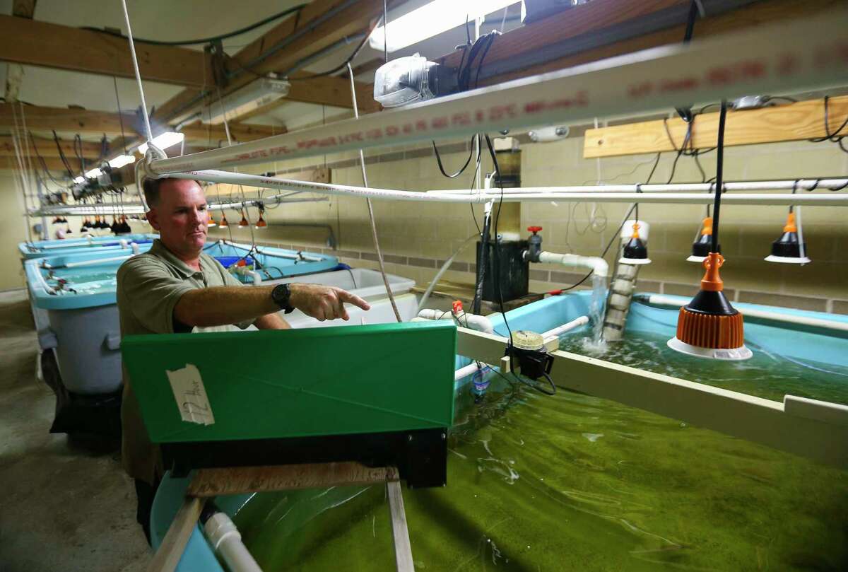 UT Marine Scientists to Relocate Temporarily to Texas A&M's Corpus