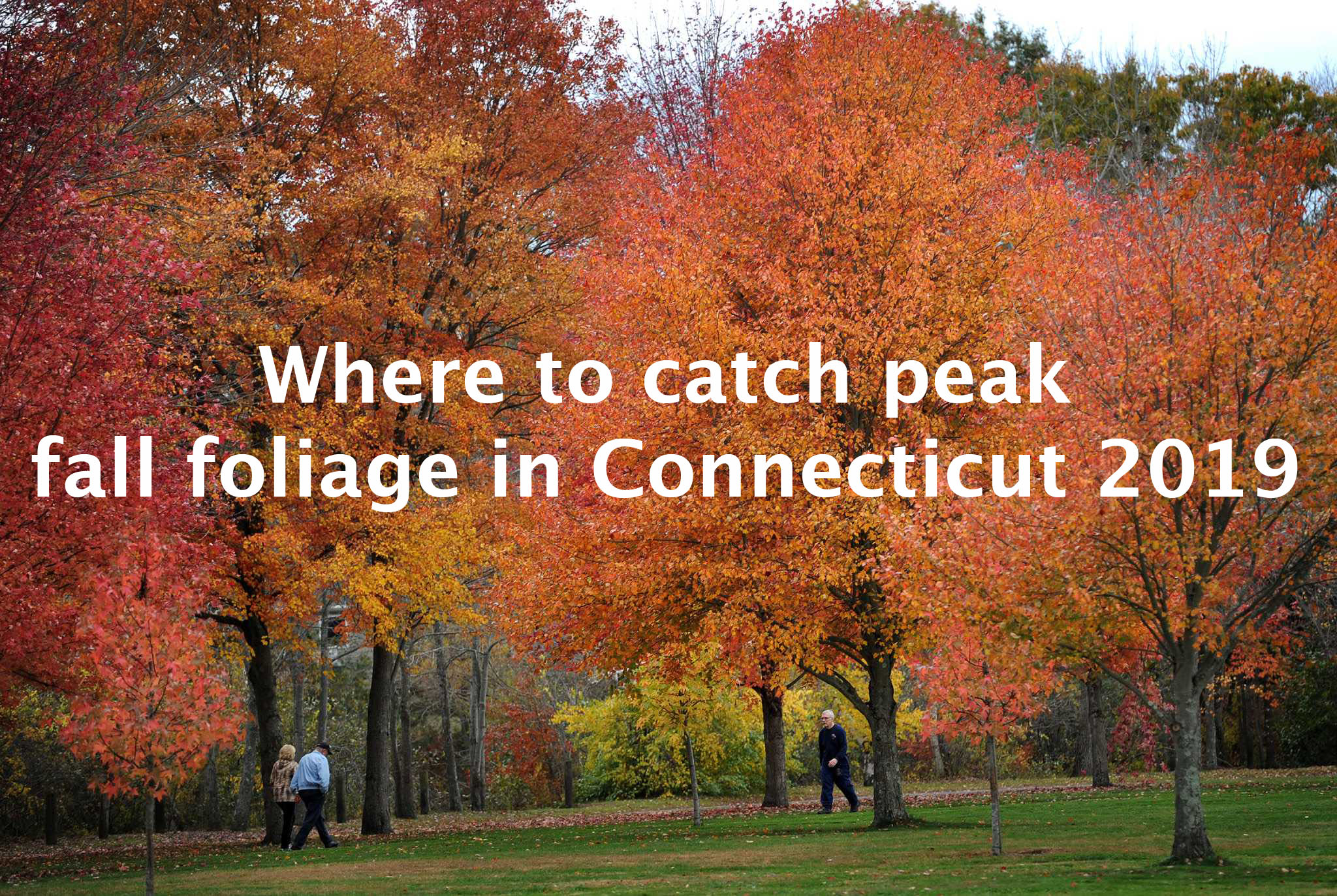 When and where to catch fall foliage in Connecticut in 2019