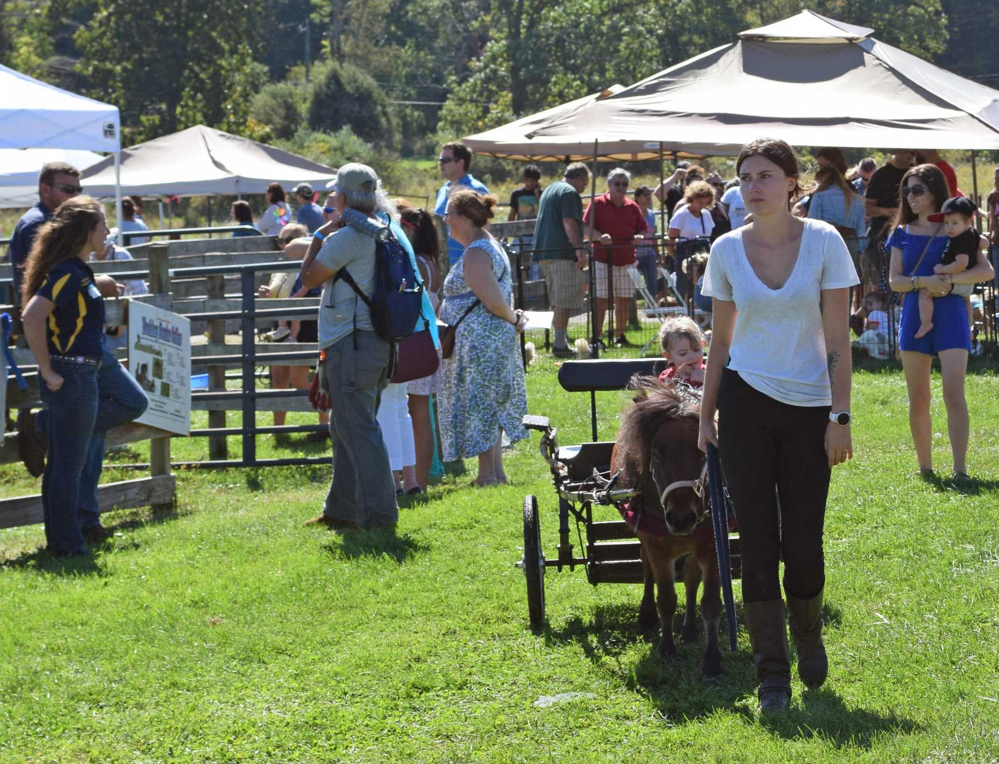 Preserve to hold Open Farm Day New Milford Spectrum