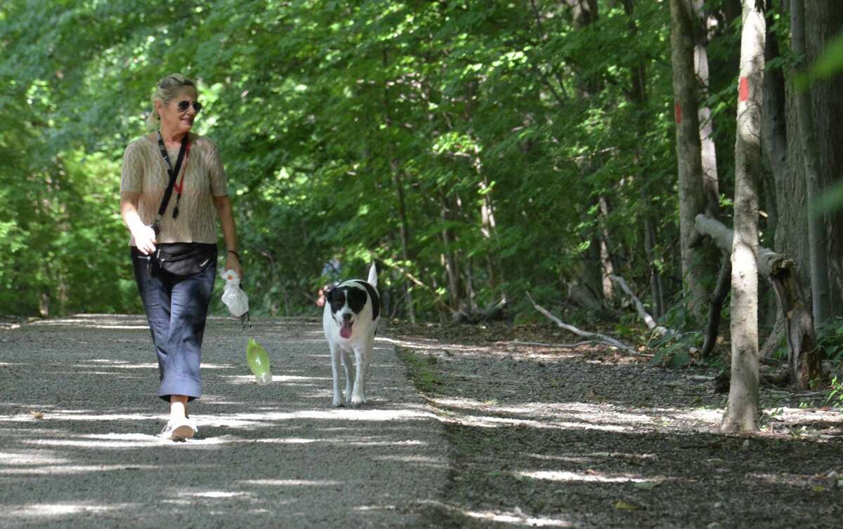 Stay at Home in Wilton invites walkers of all levels to join them for a walk at Cranbury Park on Oct. 4.