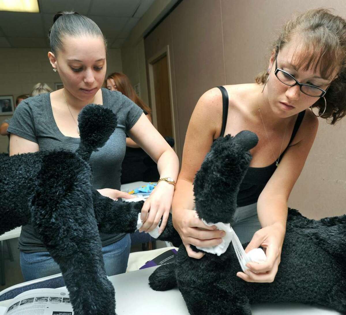 Jennifer Gutierrez, left, of Manhattan, and Jackie Buckley of New Fairfield practice pressure bandaging, a technique used for bleeding injuries such as cuts and scrapes, during a pet first aid class in Ridgefield Sunday, August 1, 2010.