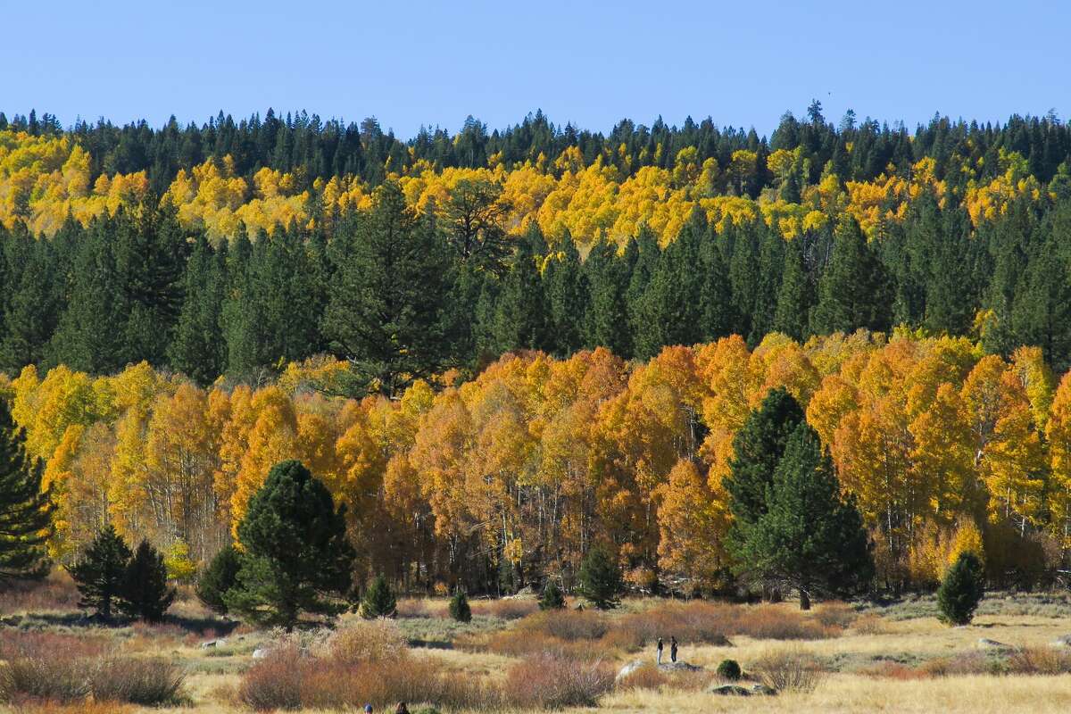 Where to find the prettiest fall foliage in Northern California and Bay