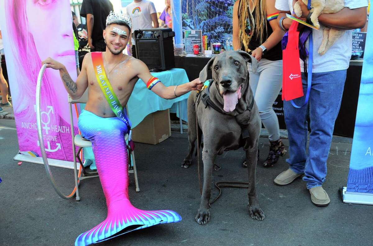 Richard “Paradise” Rippy, who is this year’s Mr. Gay New Haven 2019, with Chloe, a German great Dane owned by Larissa Anderson, of New Haven, during the New Haven Pride event held on Center Street in New Haven on Saturday.