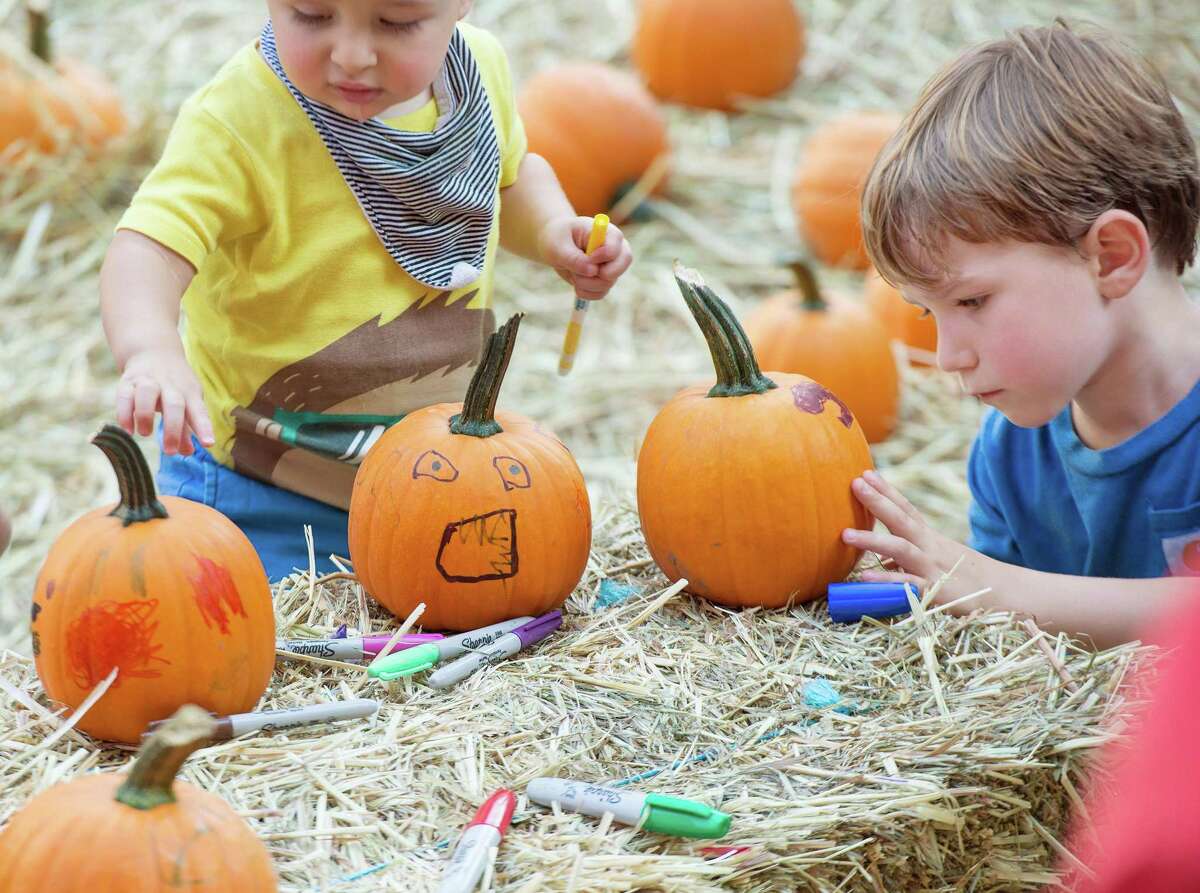 There will be pumpkins at next month's Ambler Farm Day, just no pumpkin patch.