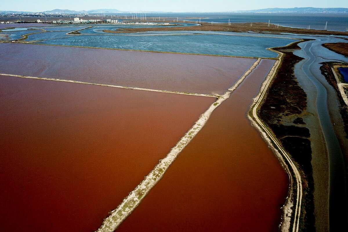 The Cargill salt ponds on Wednesday, March 13, 2019, in Redwood City, Calif. A federal judge on Monday ruled that a collection of salt ponds on the San Francisco Bay is subject to protections under the Clean Water Act — going against a previous decision by the Environmental Protection Agency that could have potentially paved the way for massive development on the site.