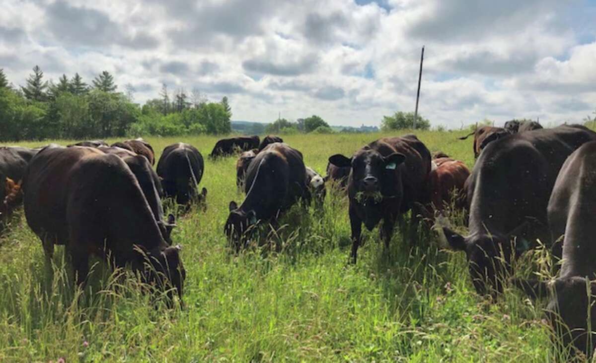 Oil major BP is stepping up its involvement in the production of natural gas from organic waste with an agreement to take supplies derived from cow manure in Iowa.