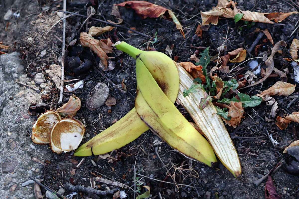 Here's why you should stop tossing your banana peels on ground