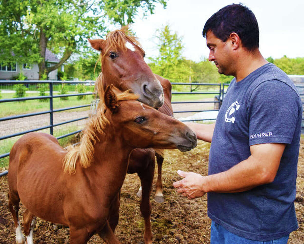 James Castelli shows off a mother and her fawn that was born and a surprise to all at the Castelli’s Mustang and Horse Sanctuary in the Spring of 2019.