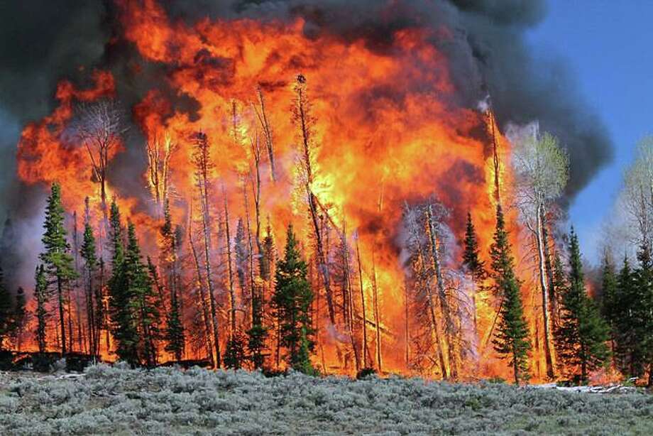 Video captures what it’s like inside a forest fire - Connecticut Post