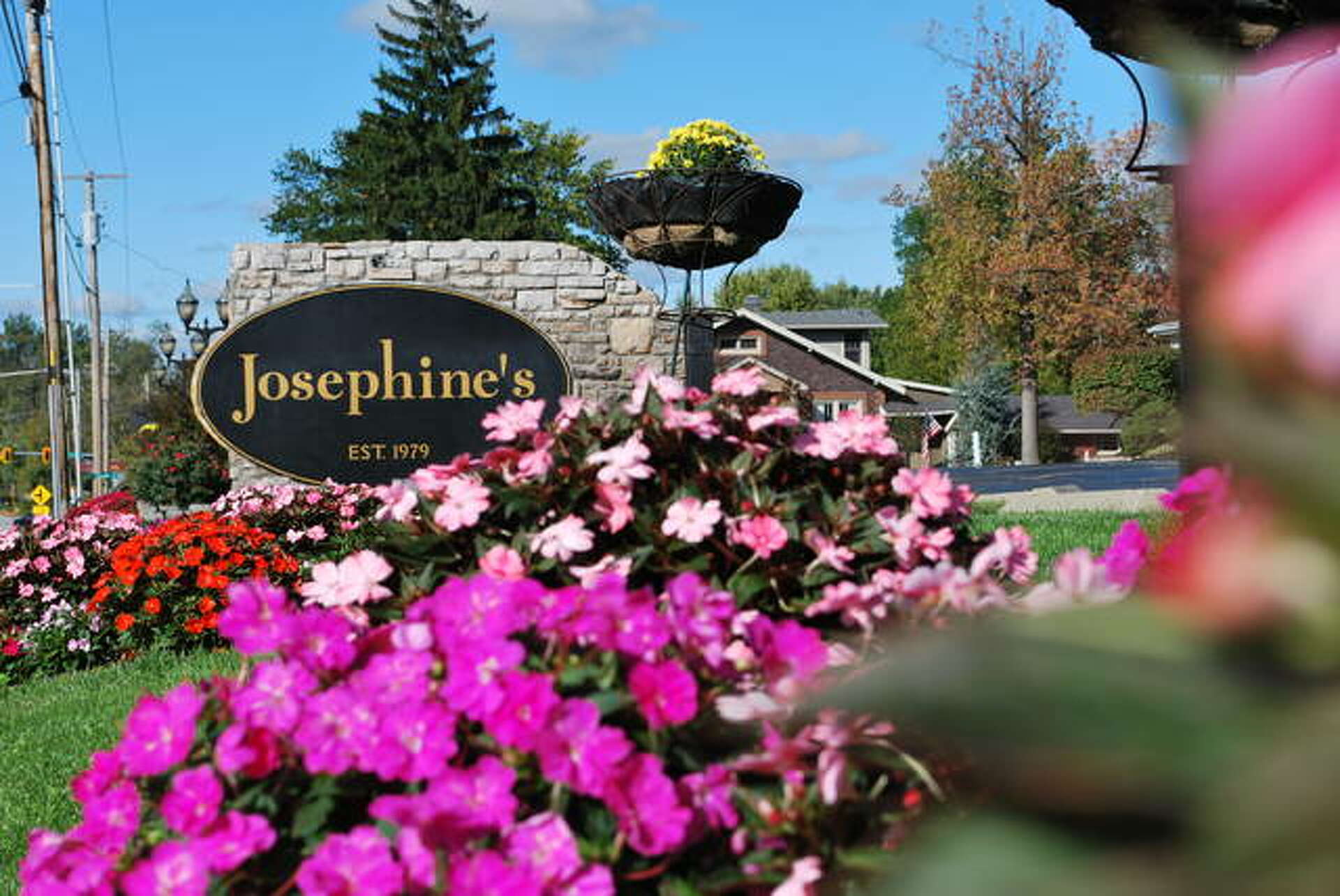Josephine's Tea Room