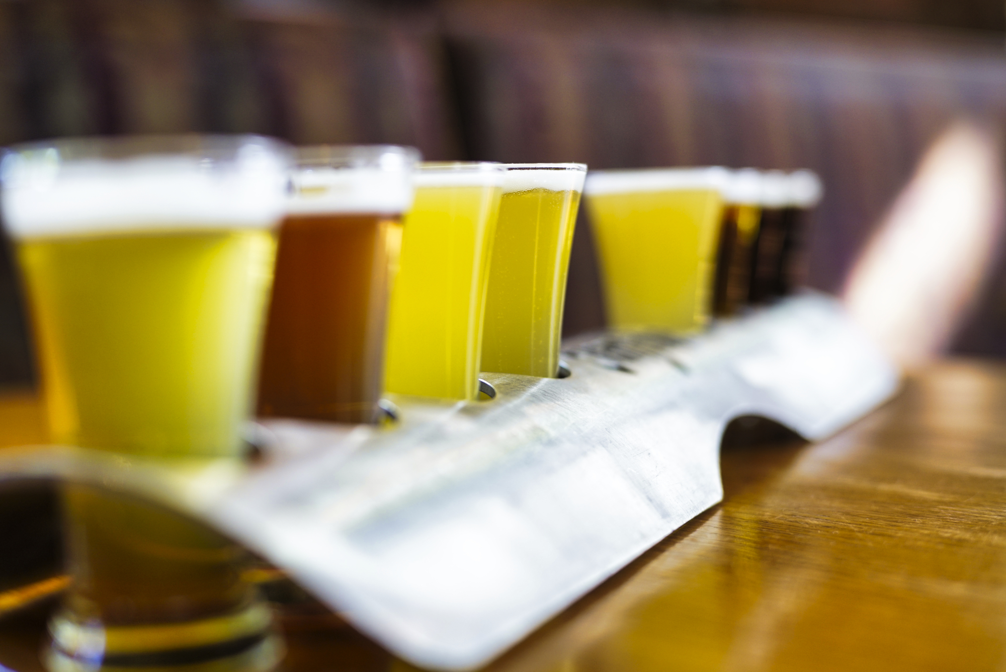 Top local breweries near Albany - Vimarsana News