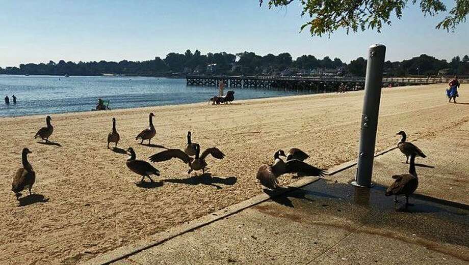 Jack Cavanaugh As Autumn Begins Beach Issues Linger Laredo Morning Times