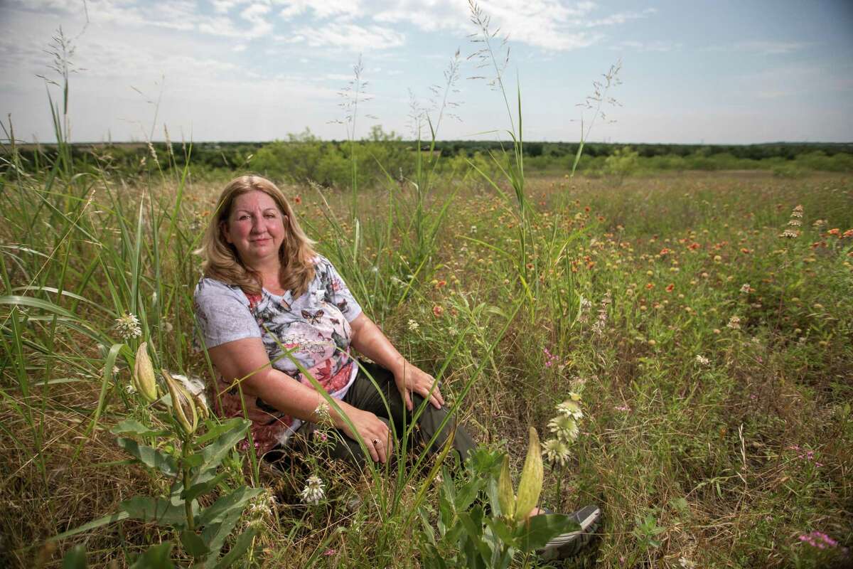 Barbara Keller-Willy encourages gardeners to plant Texas' native milkweed, which is better for butterflies than the tropical milkweed sold in most nurseries.