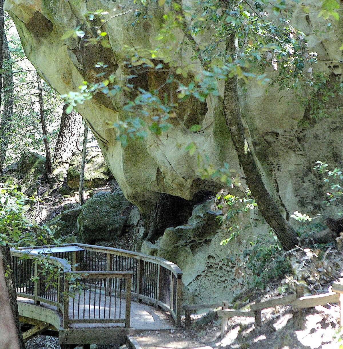 A new trail in El Corte de Madera Creek Open Space Preserve leads to the cut-off spur to The Tafoni, a sandstone monolith with viewing deck