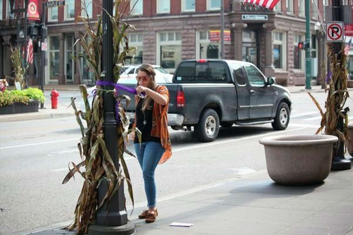 Last year, in recognition of October as Domestic Violence Awareness Month, Women's Information Service, Inc. (WISE) participated in the Purple Ribbon Campaign by hanging purple ribbons up in Big Rapids to bring attention to the issue of domestic abuse. While WISE will not be hanging up purple ribbons this year, the nonprofit agency will be hosting a variety of educational events to dispel myths about domestic violence. (Herald Review file photo)