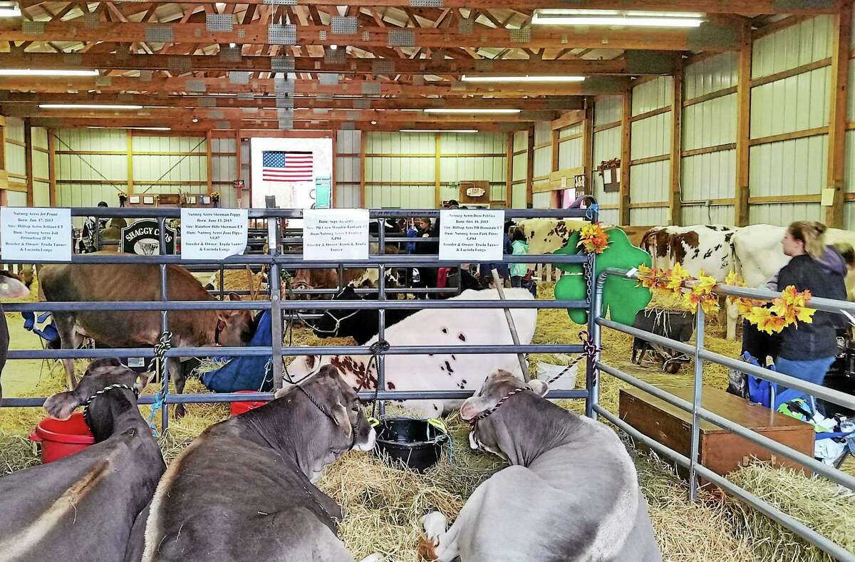 Harwinton Fair returns this weekend, Oct. 46