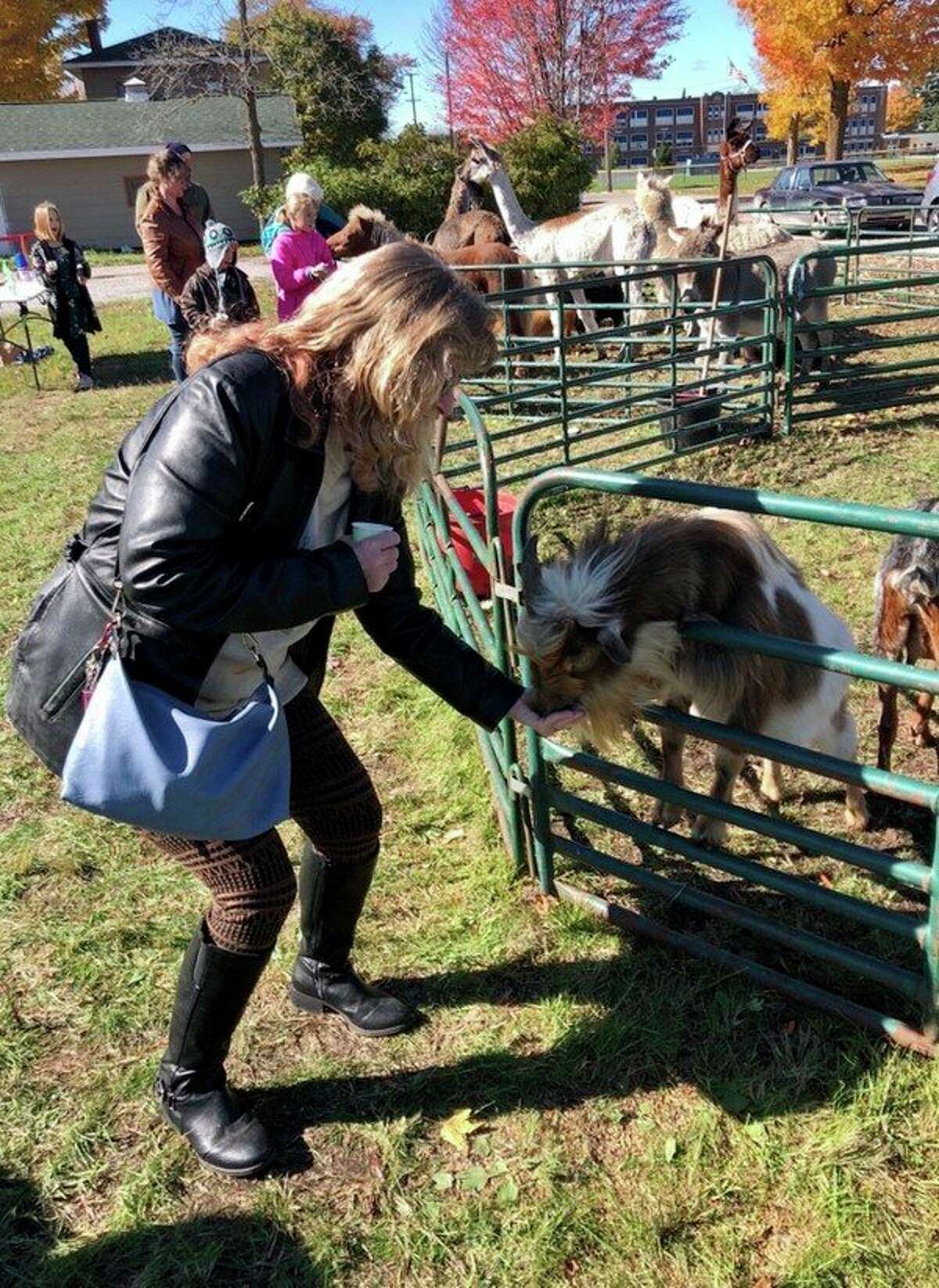 As well as a petting zoo, guests will have the opportunity to feed the animals, at no cost. This event is part of MOSAC's Free Sober Family Social Events. (Courtesy photo)