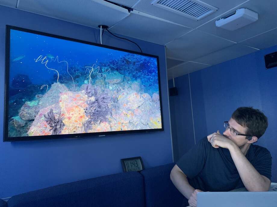 Mercer Brugler, an associate professor at New York City College of Technology, examines the video feed from Yogi, a 1,100 pound robot exploring the sea floor in the Gulf of Mexico during a week-long research cruise in August. Brugler's research focuses on black coral and he is studying the scene for potential specimen to collect. Photo: Alex Stuckey/Staff