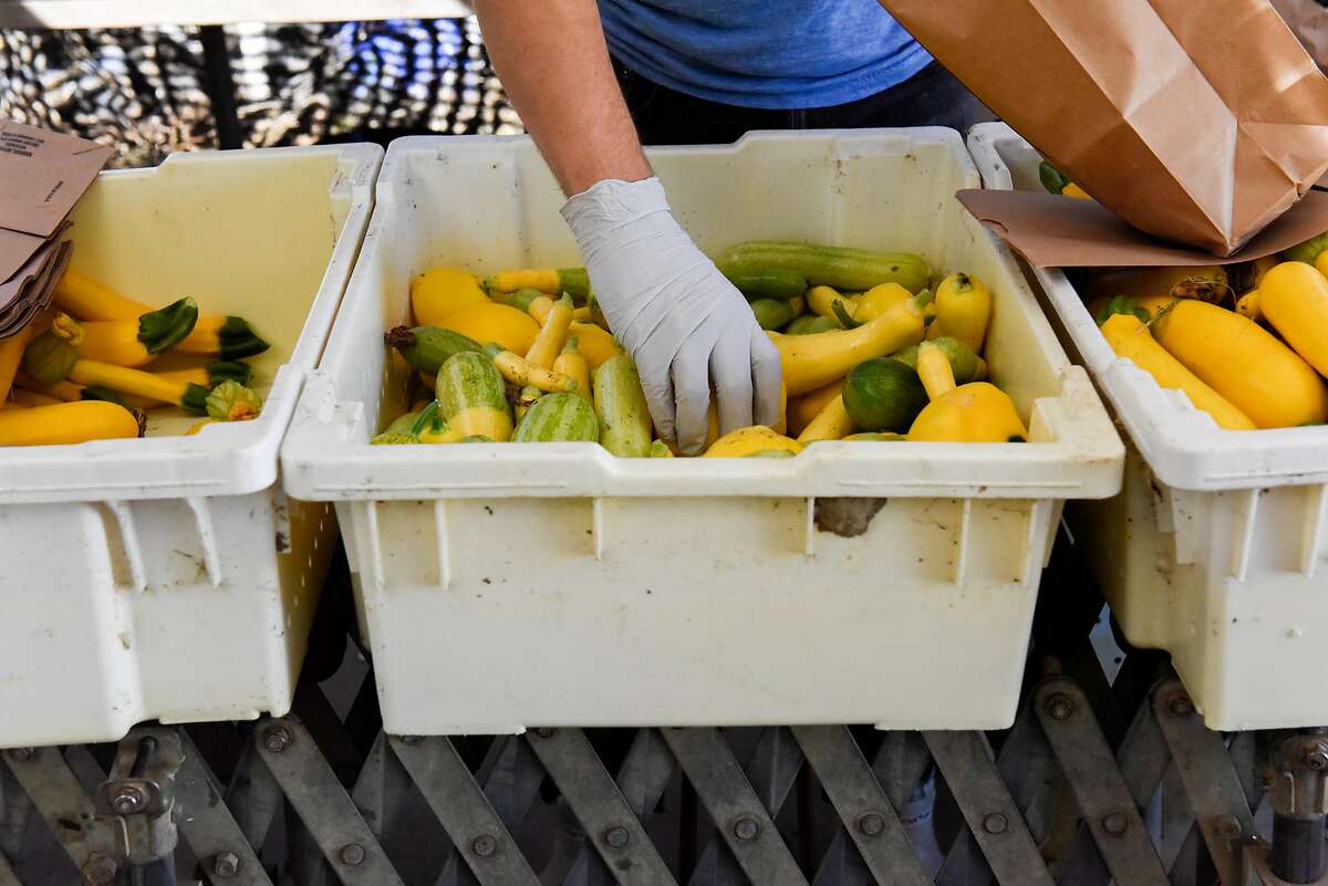 Cameron Ottens prepare CSA boxes at Eatwell Farm in Dixon, Calif., on September 17, 2019.
