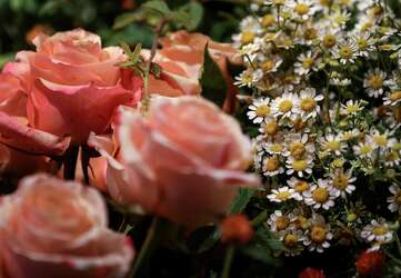 Avant Garden At Rod Opens Houston S Newest Instagram Worthy Hotspot Houston Chronicle
