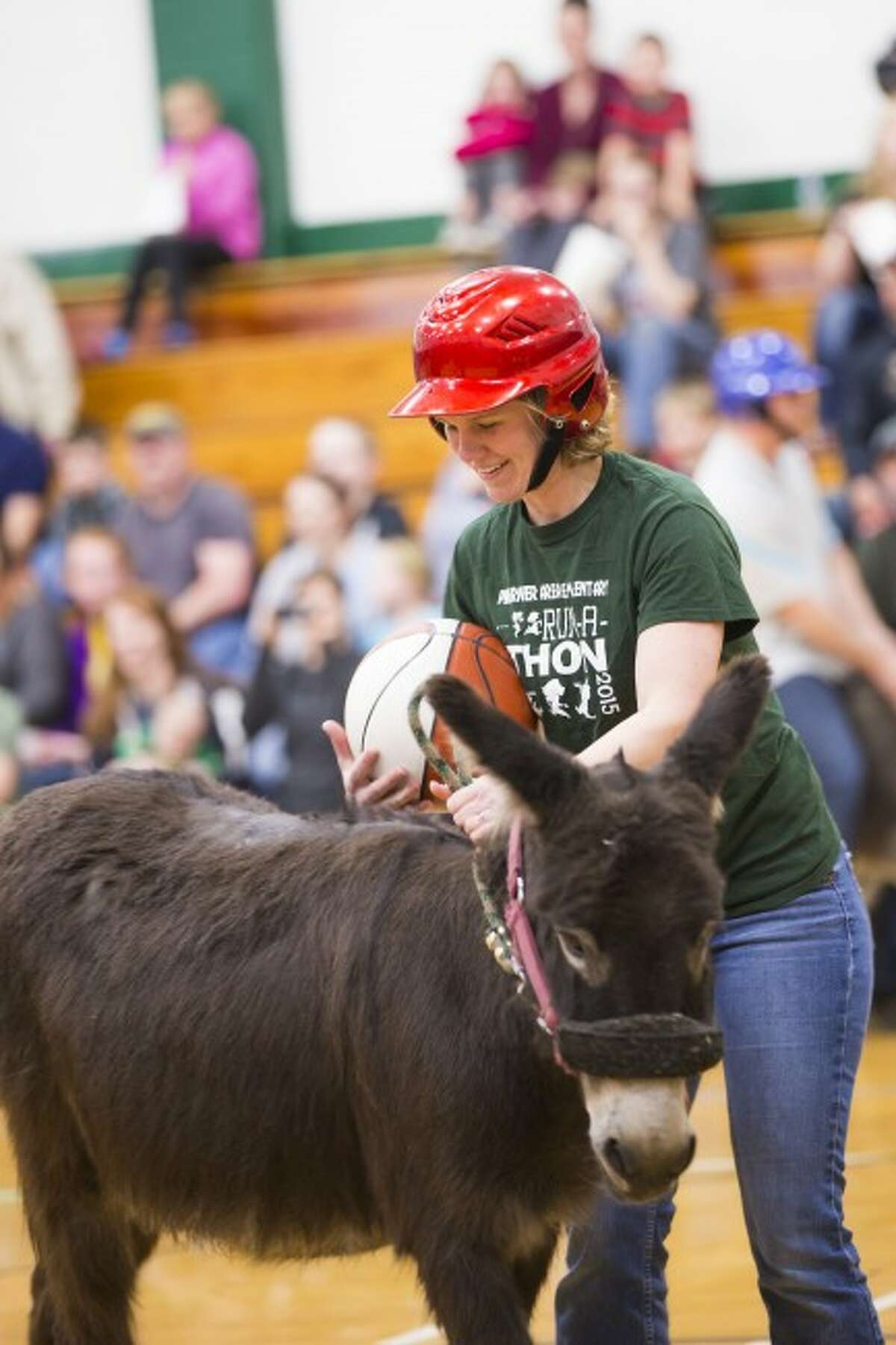 SPORTING FUN: First-grade teacher Tiffany Lindquist takes control of the ball and attempts to climb onto her donkey.