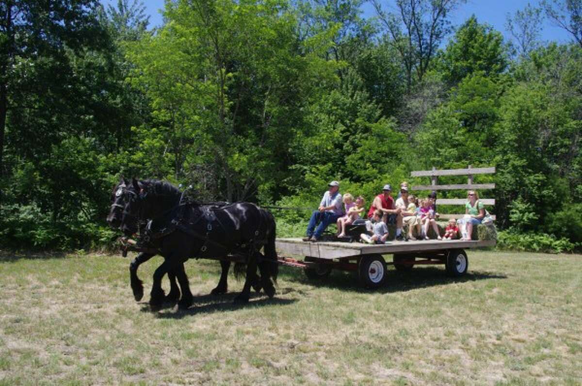 Ron Soberalski donated his time and his horses for the wagon rides.