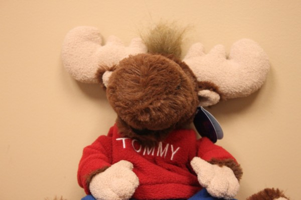 tommy moose stuffed animal