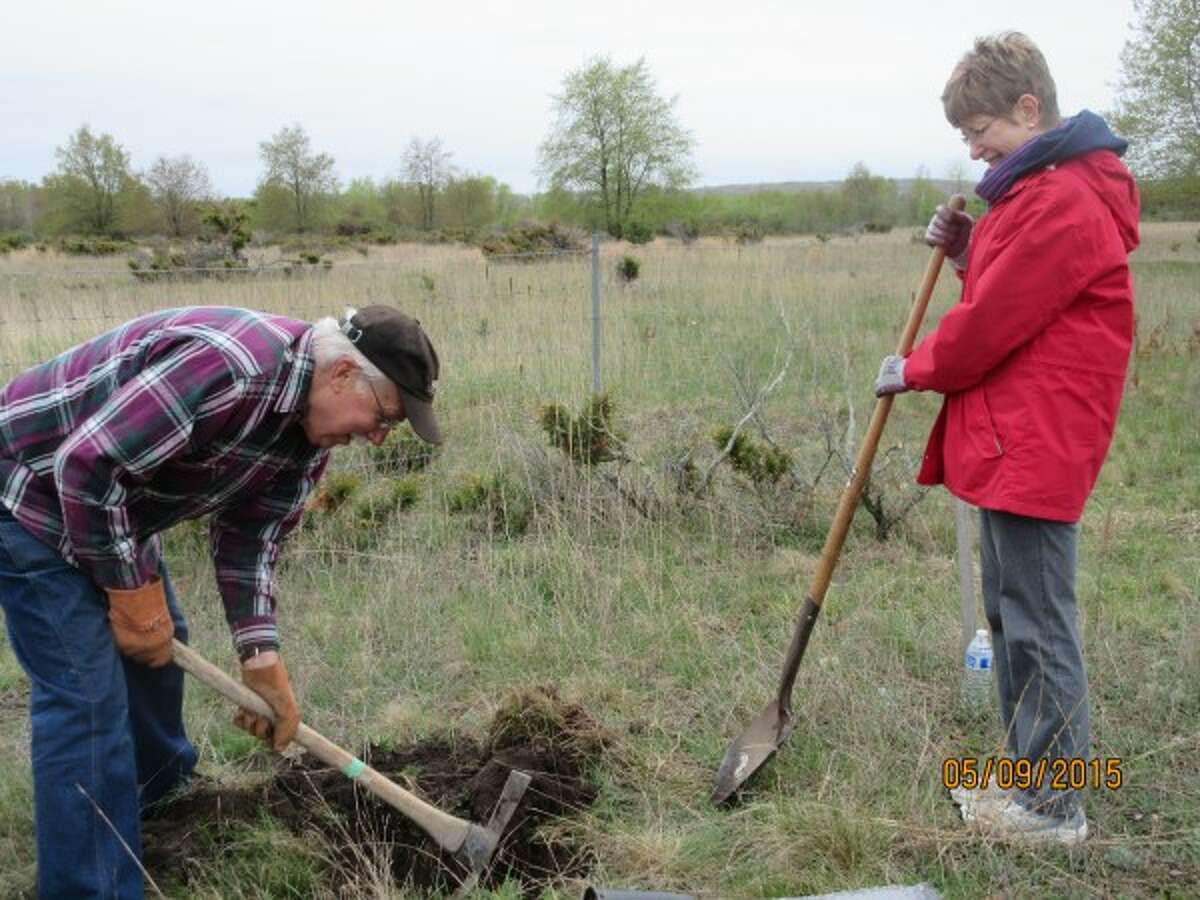 Paul Mueller and Faye Backie dig a hole to plant trees during a program on the benefits of trees at North Point Park in Onekama Township on Saturday. (Courtesy photo)