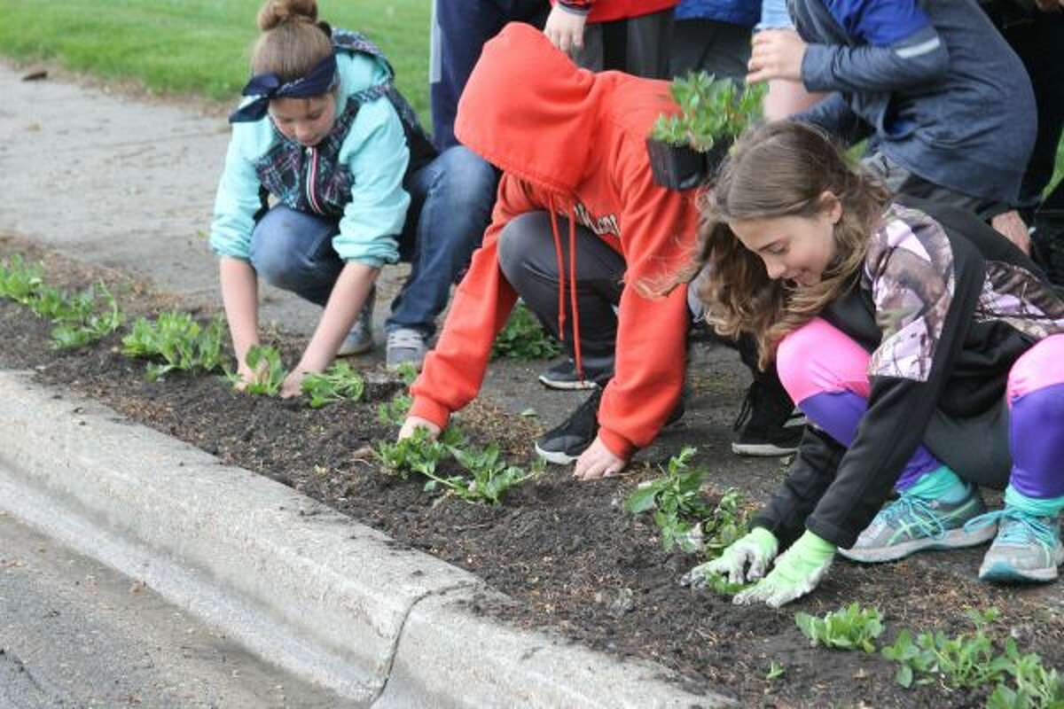 PETUNIA PARADE PLANTED: Onekama community comes together for 26th year