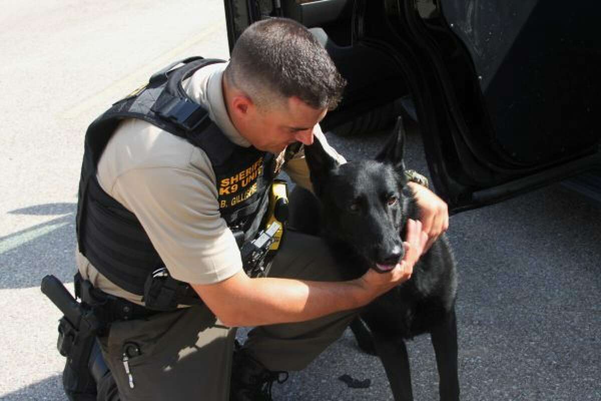 Sheriff's Office K-9 Dies Unexpectedly