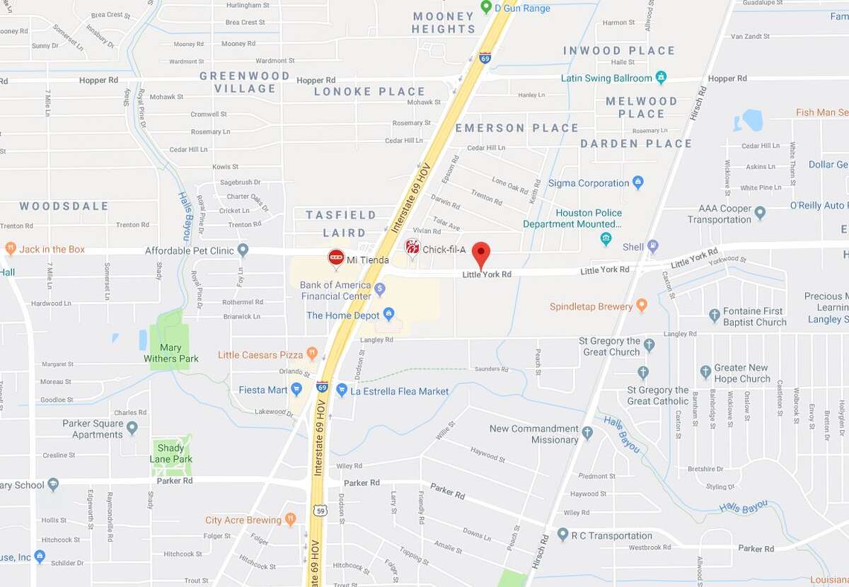 affordable vet little york