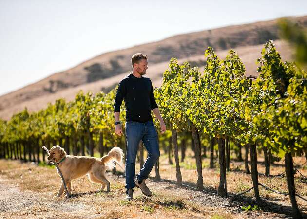 California wineries, fearing recession, cut grape output