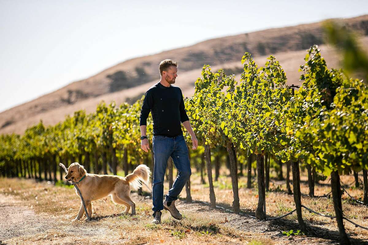 Paul Johnson walks through his vineyard with his dog Pheiffer at Johnson Vineyard Company on Wednesday, October 2, 2019 in King City, Calif.