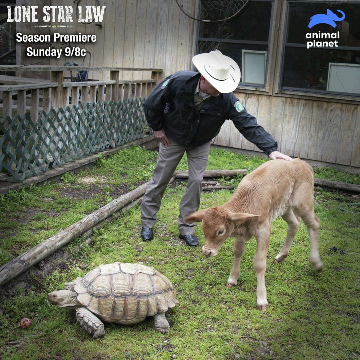 Lone Star Law - Animal Planet GO