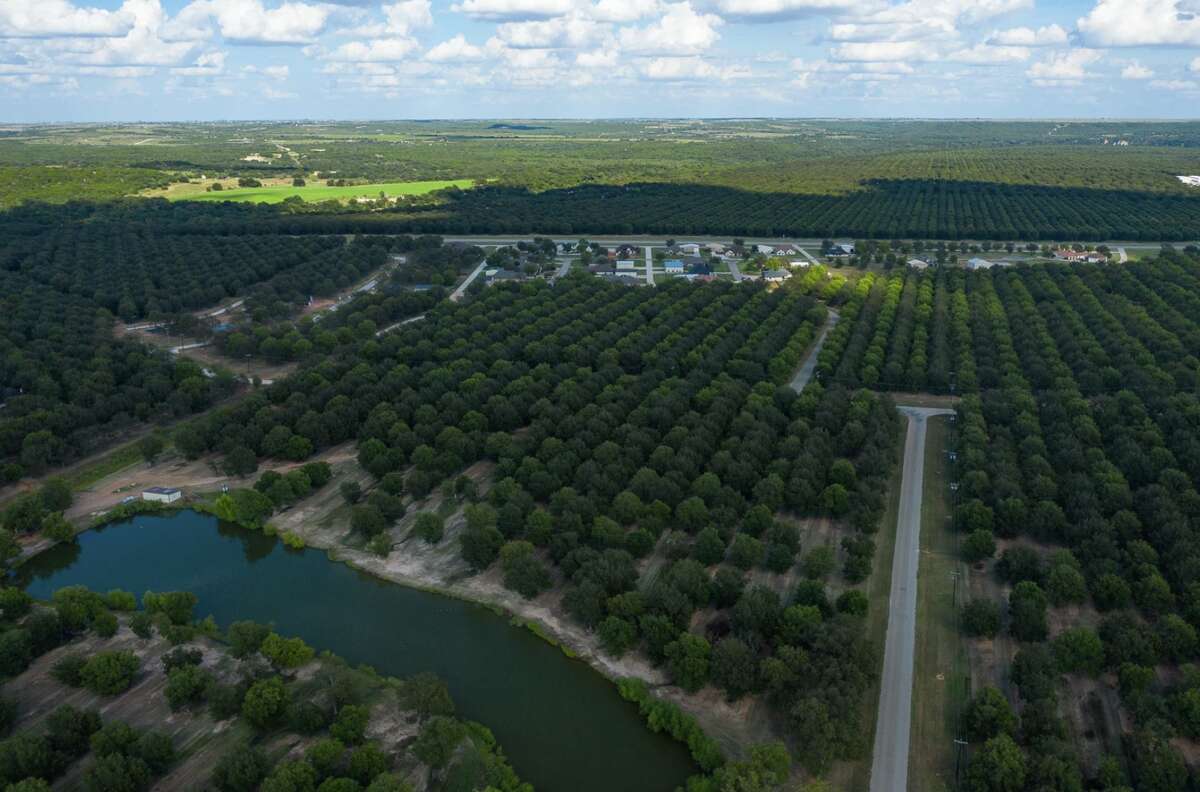 Brazos River's Texas Pecan Plantation up for sale