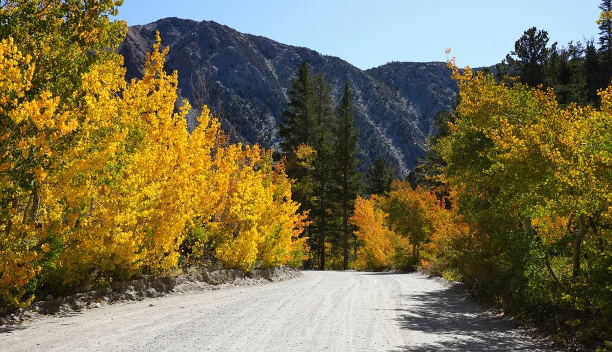 Go now! Brilliant fall colors peak in Eastern Sierra