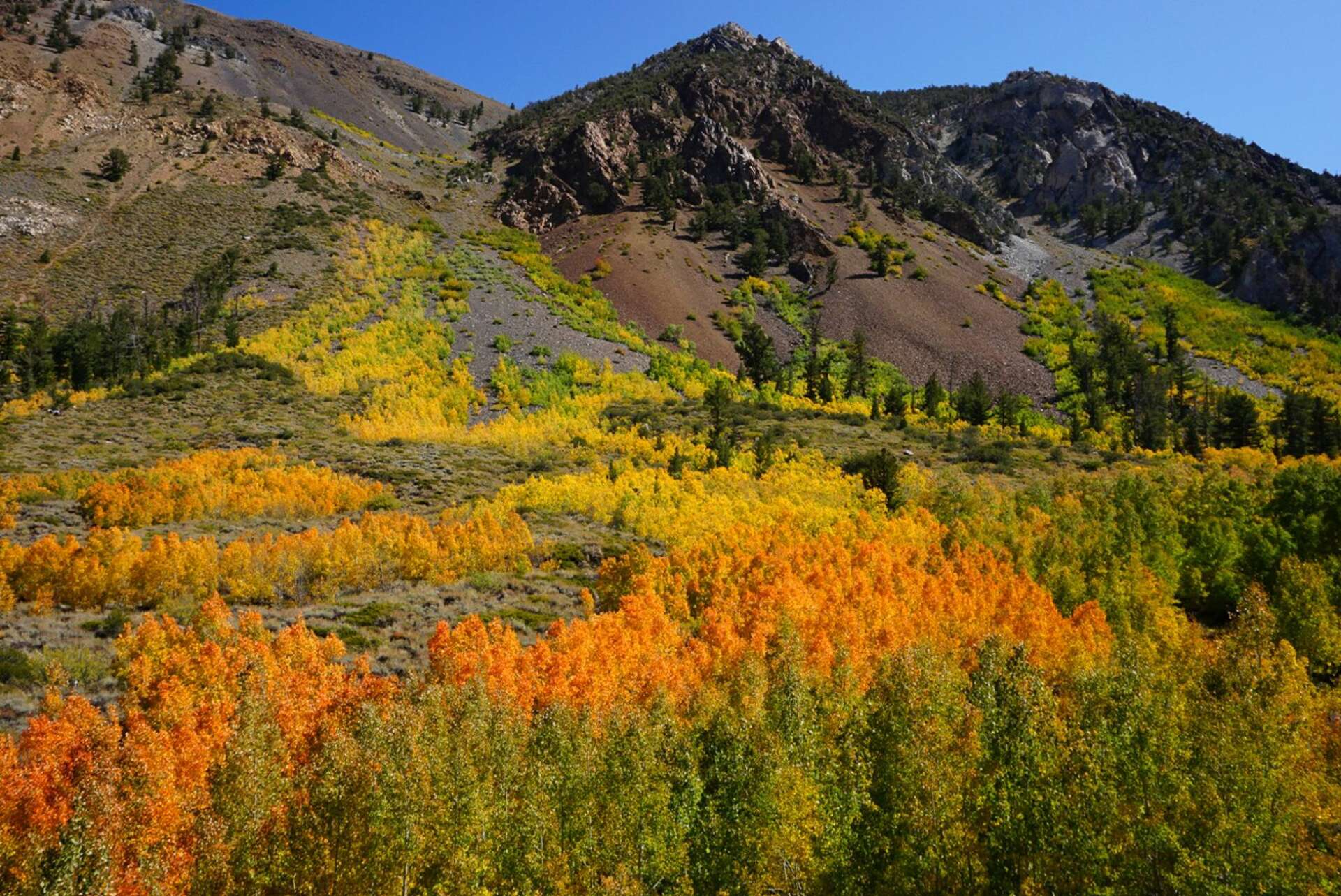 Willow Creek Road